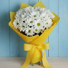 Букет цветов из:  Хризантемы в Пролетарский Московской области