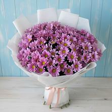 Букет цветов из:  Хризантемы в Пролетарский Московской области