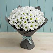 Букет цветов из:  Хризантемы #REPLACE_PRED# Пролетарский Московской области