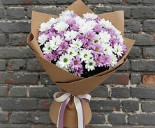 Букет цветов из:  Хризантемы в Пролетарский Московской области