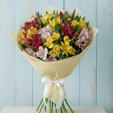 Букет цветов из:  Альстромерии в Пролетарский Московской области