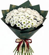 Букет цветов из:  Хризантемы в Пролетарский Московской области