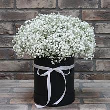 Цветочная композиция из Гипсофила в шляпной коробке в Пролетарский Московской области