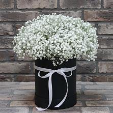 Цветочная композиция из Гипсофила в шляпной коробке в Пролетарский Московской области
