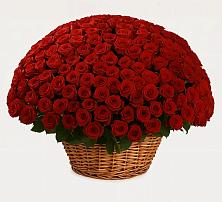 Премиум букет из: Розы #REPLACE_PRED# Пролетарский Московской области